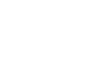 Sandro Silva logo