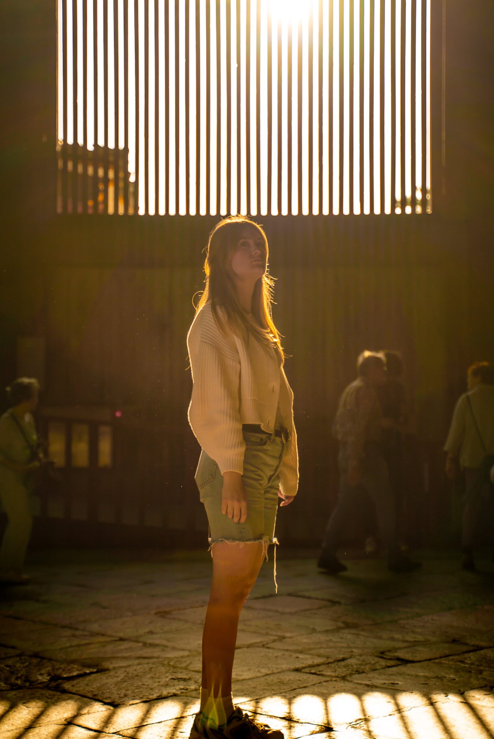 Portrait Collection — image 31