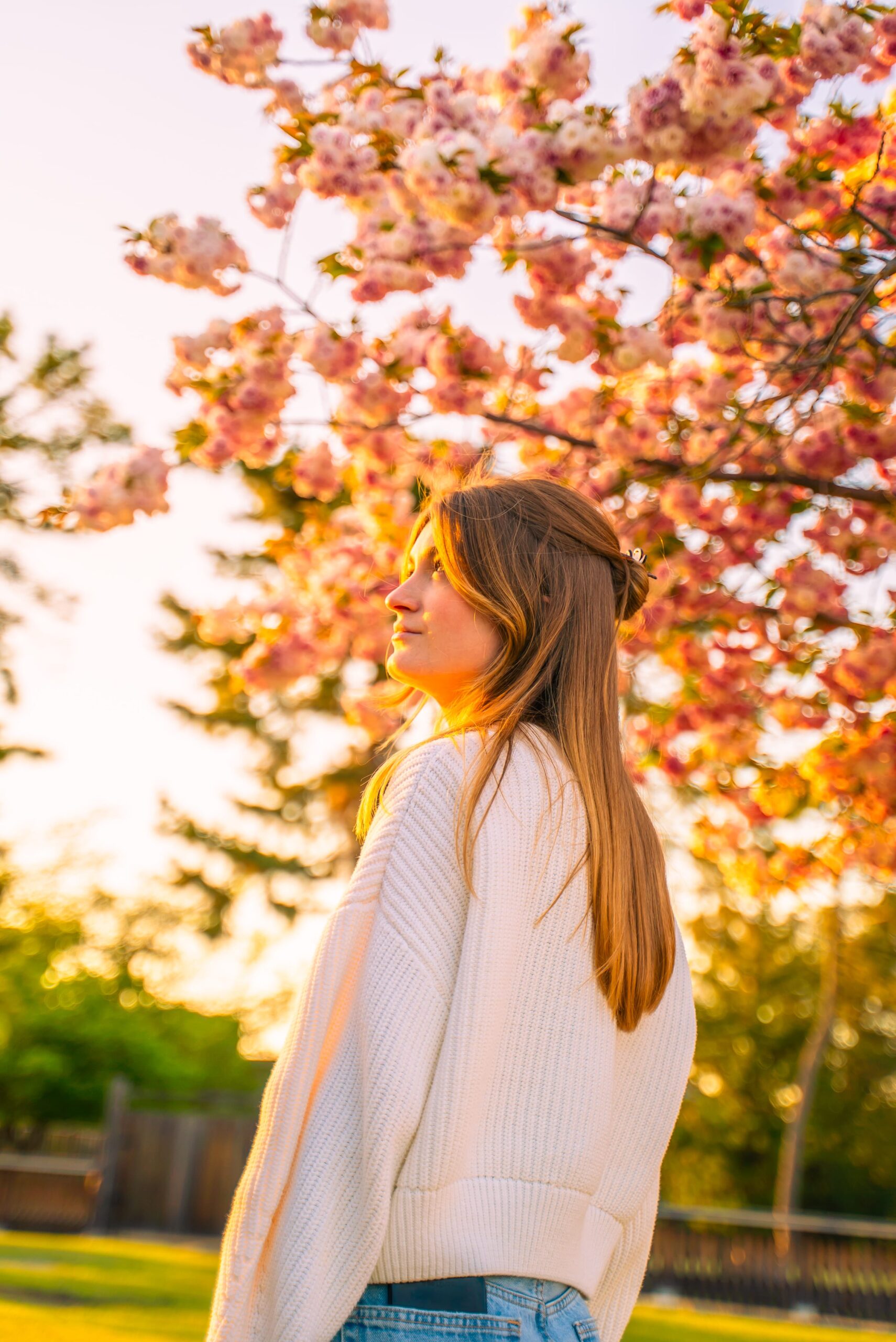 Portrait Collection — image 32