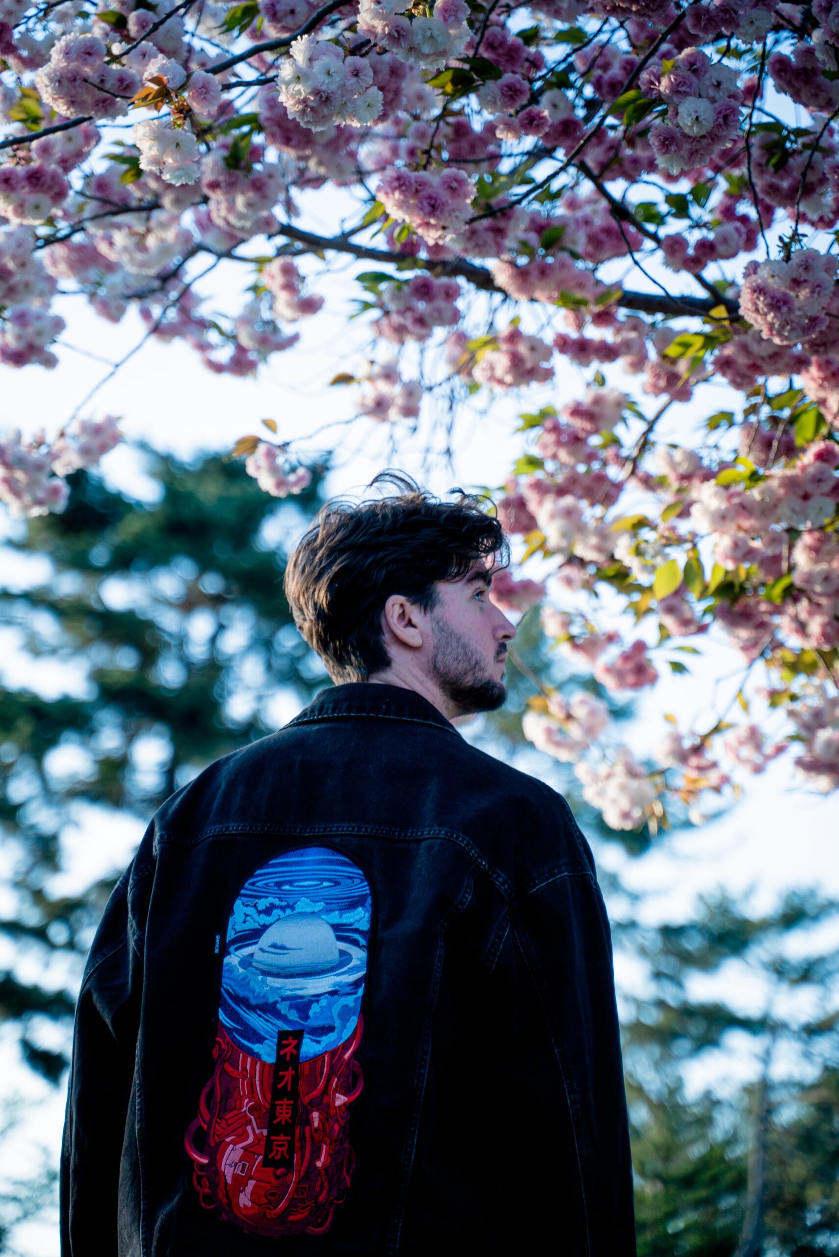 Portrait Collection — image 33