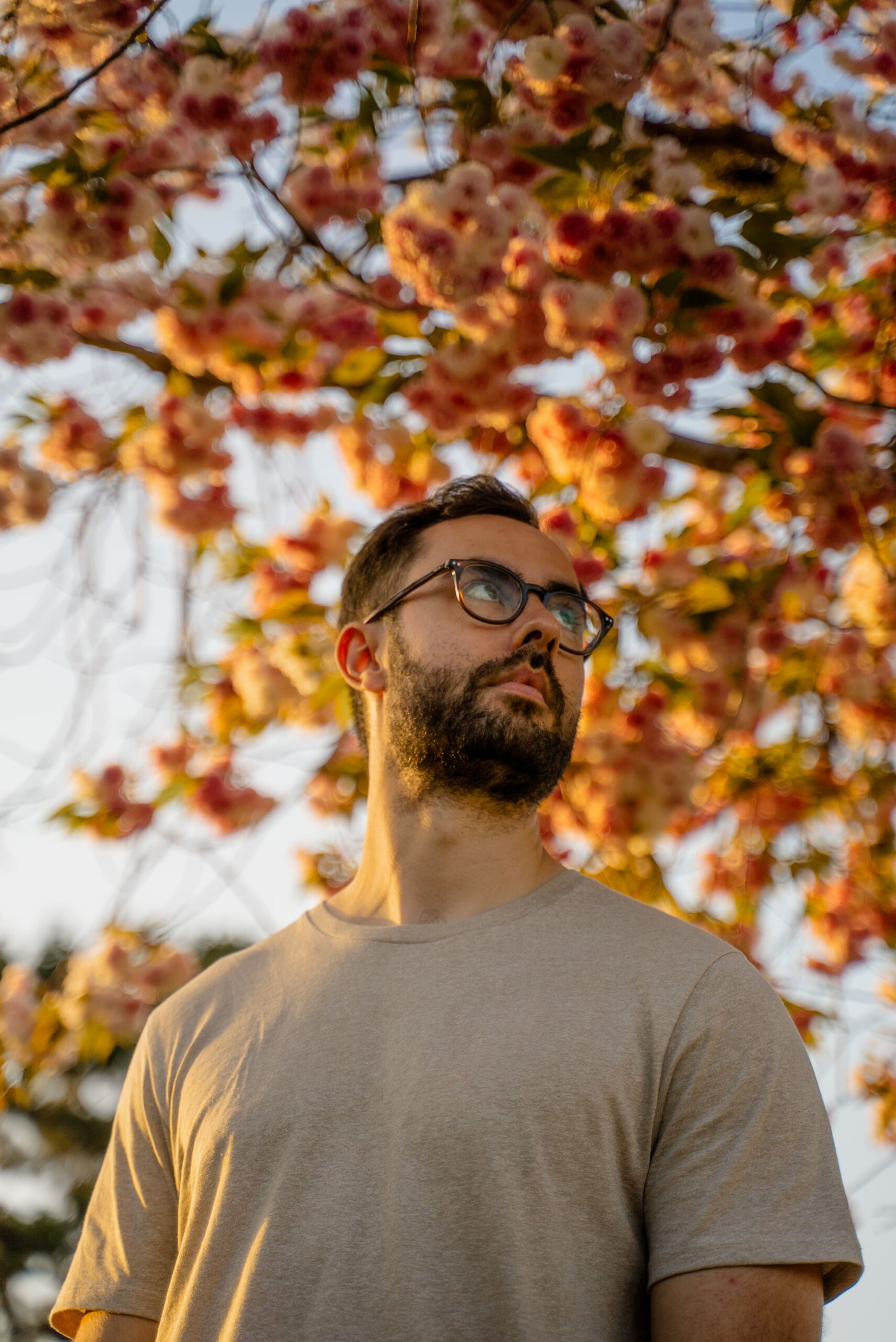 Portrait Collection — image 35